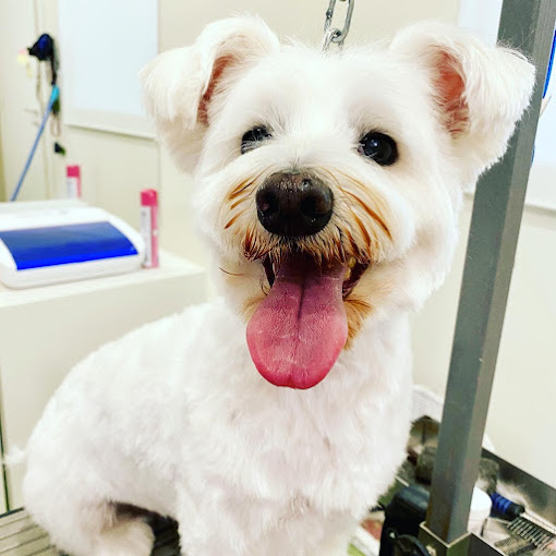 4E6DB540-FF7F-49AC-A470-425627A13BB2