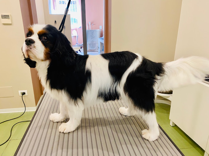 76521915-C73B-44D1-97AA-CB471CB01FBD